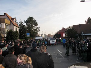 Farnkenderby - Bild1
